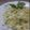 Cooksnap dari Muhammad Irfan untuk resep Cabbage Rice (Nasi Kol) | Low carb diet friendly