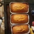 Robin Sheffield's cooksnap of when they made Sweet Potato Bread.
