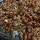 Cooksnap dari Dhani Putu Kusuma untuk resep Teri kacang balado