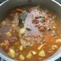 El cooksnap de Ines cuando hizo Cazuela exprés !!! Partido de mundial. Visitas inesperadas.