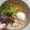 Cooksnap dari Jess untuk resep Creamy Tori Miso Ramen