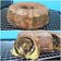 Cooksnap dari Risa Januarti untuk resep Marmer cake
