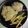 El cooksnap de Carlos cuando hizo Filetes de pollo con setas, miel y mostaza .