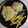 El cooksnap de Carlos cuando hizo Filetes de pollo con setas, miel y mostaza .