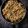 Sachi Sanket Naik's cooksnap of when they made વેજીટેબલ ફ્રાઇડ રાઈસ(vegetable fried rice recipe in Gujarati).