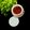 Nilu Mehta का कुकस्नैप जब उन्होंने शेजवान चटनी(Schezwan chutney recipe in Hindi) बनाया था।