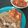 xgoku1's cooksnap of when they made Vickys Quick Chicken Tikka Masala, GF DF EF SF NF.