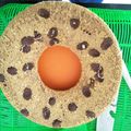 Cooksnap dari Alieahmad untuk resep Bolu Milo