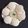Rekha Vora's cooksnap of when they made ઈડલી (Idli Recipe In Gujarati).