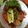 Cooksnap dari Catarina Suratriningsih untuk resep Salad solo