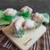 Cooksnap dari Devy Fitria Wardani untuk resep Bolu Kukus Mekar Anti Gagal (metode all in one)