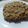 El cooksnap de TalesNT cuando hizo Galletas de avena multicereal.