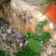Cooksnap dari eviyani untuk resep Sop gurame