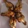Cooksnap dari Miya Nur Sugiyanto untuk resep Spicy chicken wings versi goreng