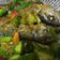 Cooksnap dari Emy Santoso untuk resep Pesmol ikan kembung