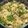 Shree Lakhani's cooksnap of when they made ઉપમા (Upma Recipe In Gujarati).