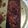 El cooksnap de Yani Calderom cuando hizo Tarta invertida de manzana.