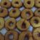 Cooksnap dari Meiriani Salim untuk resep Donat Kentang Empuk