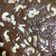 Cooksnap dari Nadwa Khoirunnisa untuk resep Fudgy Brownies Oven Tangkring