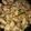 Cooksnap dari MomiCica untuk resep Vietnamese Lemongrass Chicken