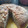 El cooksnap de Maruja cuando hizo Torta/ budín sin huevo súper económica!.