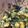 Sally Strong's cooksnap of when they made Moroccan aubergine with chermoula.