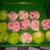 Cooksnap dari IsyeuAzka Ristianty untuk resep Bolu Kukus Semangka🍉Mekar