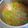 Kunjal Sompura's cooksnap of when they made ગુવાર ઢોકળીનું શાક.