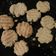 Cooksnap dari Icha Qcaw Chae untuk resep baby oat cookies *cemilan bayi 8+*
