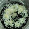 Cooksnap dari Fresti Irliantari untuk resep Oreo Cake no Baked Simple