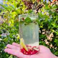 Soni Mehrotra का कुकस्नैप जब उन्होंने डिटॉक्स वॉटर (Detox water recipe in Hindi) बनाया था।