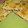 El cooksnap de Magali Aller cuando hizo Masa quebrada.