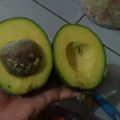 Cooksnap dari Qhieki Nur untuk resep Tips peram buah alpukat