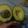 Cooksnap dari Qhieki Nur untuk resep Tips peram buah alpukat