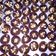 Cooksnap dari Zhiema R'zhiema untuk resep Almond London Cookies