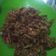 Cooksnap dari Yuyun untuk resep The Simple's Orek Tempe