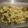El cooksnap de Agata cuando hizo Curry de coliflor al estilo indio.