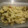 El cooksnap de Agata cuando hizo Curry de coliflor al estilo indio.