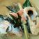 Cooksnap dari Yuni Adharani untuk resep Pindang patin