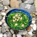 Cooksnap của Rose Truong khi họ làm theo món Canh tầng ô (cải cúc) rong biển nấu tôm