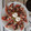 El cooksnap de Solitary Wolf cuando hizo Ensalada de tomate veraniega.
