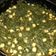 El cooksnap de Manuel Castilleja cuando hizo Espinacas con garbanzos.