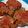 Cooksnap dari Blueczeto untuk resep Sambal Ayam Geprek