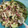 El cooksnap de Cecilia Oliveros cuando hizo Aguachile.