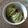 Cooksnap dari virdiani nataria untuk resep Es krim matcha green tea
