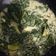 Cooksnap dari gendhukidasari untuk resep Bobor Daun Singkong