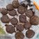 Cooksnap dari Cindy Yonuari untuk resep Cookies Crunchy Chocochips