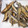 El cooksnap de M.Jose cuando hizo Boquerones fritos.