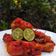 Cooksnap dari 🇹‌🇷‌🇪‌🇸‌🇳‌🇦‌ untuk resep Chicken Drumstick Balado