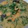 Cooksnap dari gopoaug sion untuk resep Gulai Pakis
